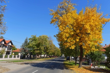 Danas sunčano i toplo