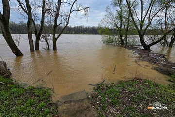 Sava u porastu kod Bijeljine