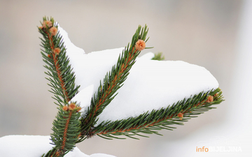 Еvropi prijeti ledeni scenario