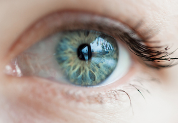 Koliko megapiksela ima ljudsko oko?