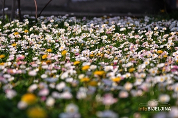 Meoteorolozi objavili veliku prognozu za proljeće