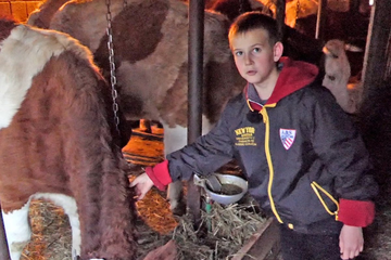 Odrastanje uz krave : Dječak koji ne traži ništa moderno (VIDEO)
