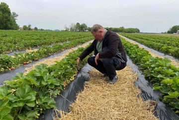 Semberija: Niko neće da radi za 100 KM dnevno