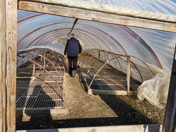 CRNJELOVO I OBARSKA IMAJU NAJVIŠE PLASTENIKA U SRPSKOJ: Uvezeno povrće se ne može porediti sa povrćem domaće proizvodnje