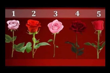 Izaberi ružu i saznaj svoju najveću želju: Test ličnosti koji otkriva sudbinu