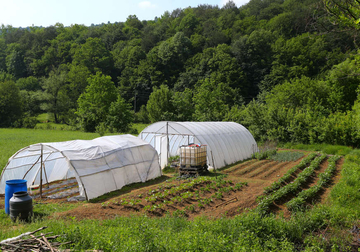 Sjeme ovih biljaka zlata vrijedi, čuva baštu od svega