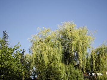 Južni dio zemlje očekuje TROPSKA NOĆ: Sutra u BiH prijatnije temperature, najviša do 34 stepena