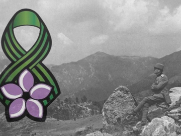 Dan primirja i cvijet koji oživljava: Zašto Srbi na reveru nose Natalijinu ramondu