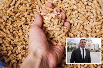 Profesor Marko Đogo objasnio zašto cijene peleta divljaju u Republici Srpskoj