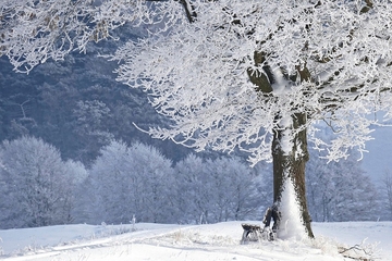 BiH očekuje hladnija zima, padavine ispod višegodišnjeg prosjeka