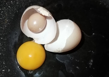 Jovanka u jajetu pronašla još jedno jaje