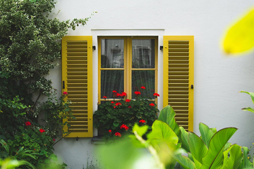 Ove biljke mnogi sade uz kuću, ne znajući da time privlače zmije