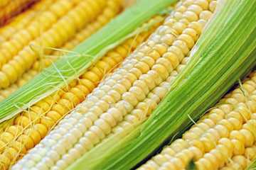 Zvuči jednostavno, ali kako i koliko dugo se kuva kukuruz?