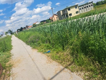 Bijeljina: Neuređene zelene površine u Hasama, pješačka staza zaklonjena travom