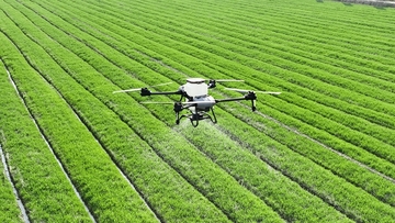 Škola u Bijeljini dobija pametni plastenik i dron: Vlada odobrila 46.348 KM