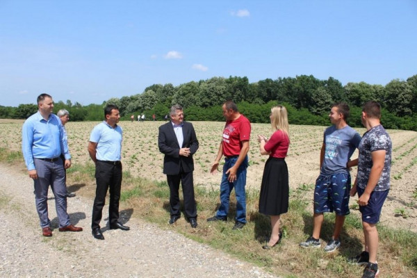 Semberci uspješni u proizvodnji duvana