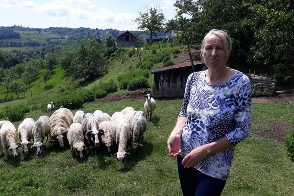 Projektima za agrar spriječavaju odlazak stanovništva iz Lopara: Pola miliona maraka za poljoprivrednike