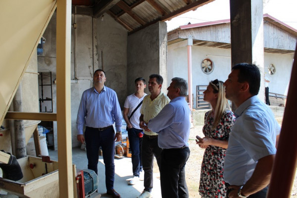 Proizvođačima svinja potrebna veća podrška i zaštita