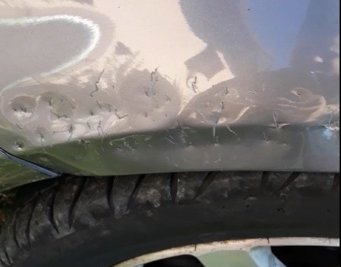 Psi lutalice izgrizli automobil u centru Bijeljine /VIDEO/