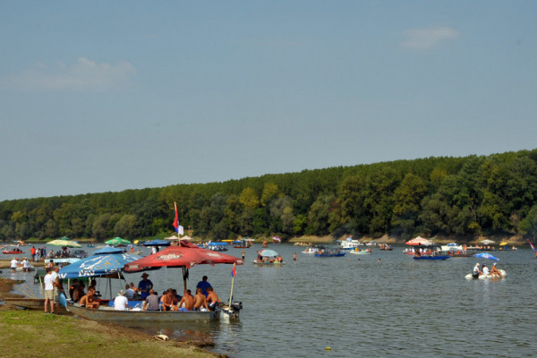 Savska regata 5. avgusta