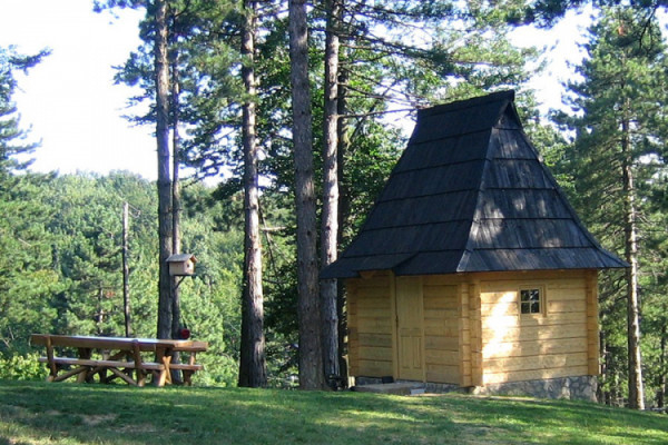 Vlasnik preduzeća "Megadrvo" od Majevice želi da napravi Zlatibor