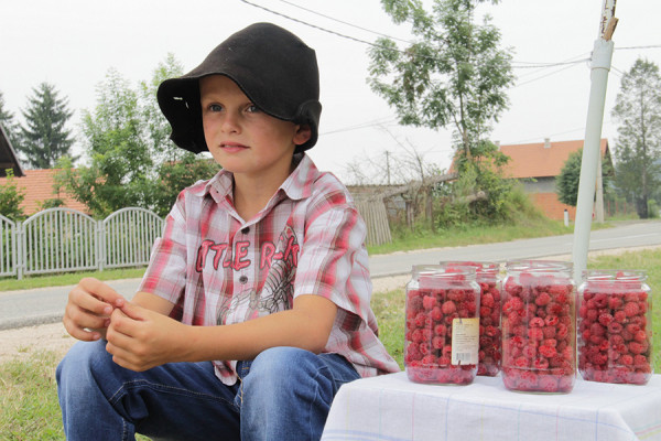 I ove godine novac za školu zaradio trgujući malinama pored puta
