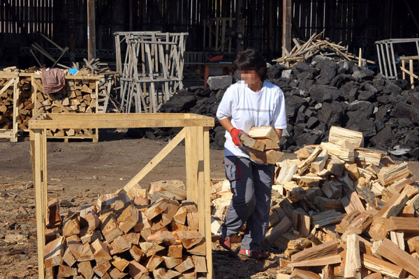Semberci nabavljaju ogrev za predstojeću zimsku sezonu: Metar drva 90, a ugalj 130 KM