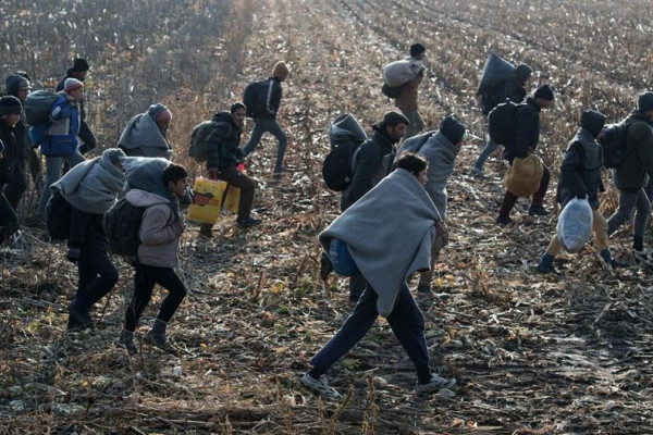 Grupa od 28 migranata otkrivena u kukuruzištu u Janji