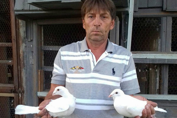 Semberija: Golubovi sa pedigreom od 1.000 do 50.000 evra