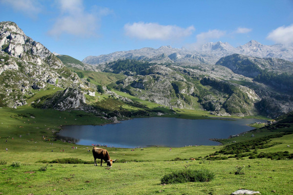 Ljekari u Škotskoj prepisuju kao lijek - boravak u prirodi