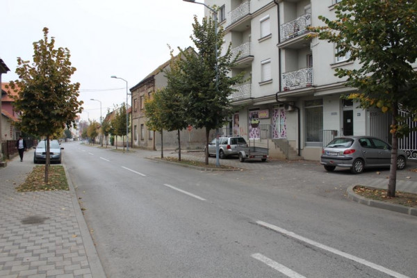 Iz Gradske uprave poručuju: Gdje god postoji mogućnost posadićemo drvo