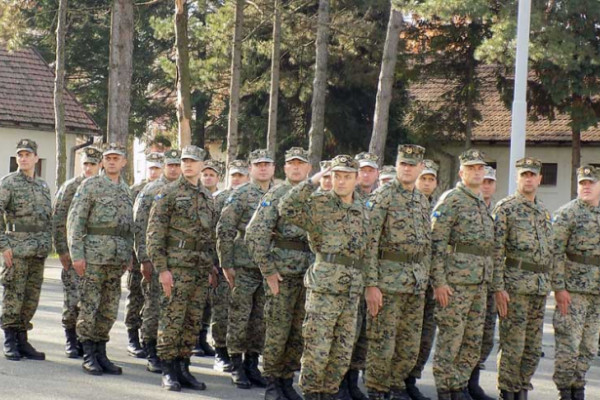 Svinjetinu pronašli u konzervama sa junetinom