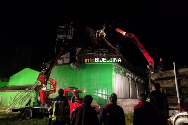 Utvrđuje se uzrok požara u bijeljinskoj pilani