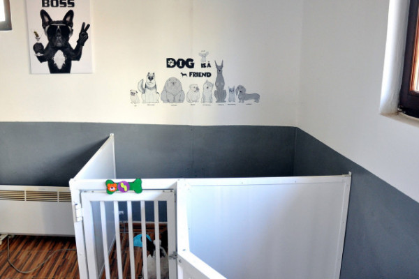 U Bijeljini otvoren hotel za pse /FOTO/