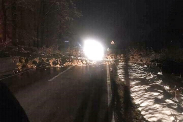 Srušilo se drvo na putu Bijeljina - Ugljevik