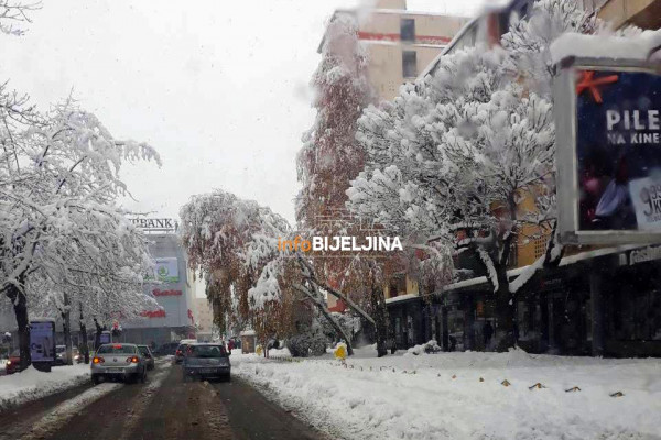 VOZAČI OPREZ - Drvo prijeti da padne na ulicu /FOTO/