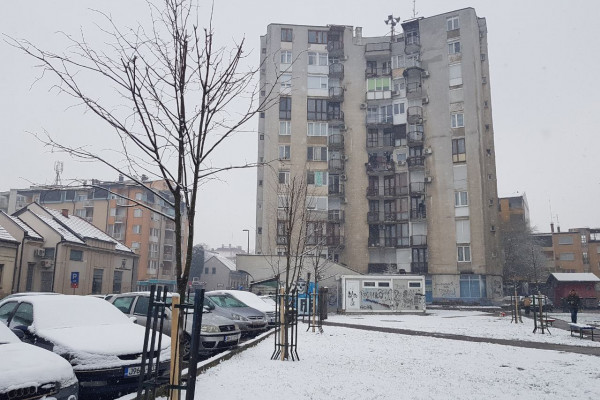 Molba građana urodila plodom, nove sadnice u centru Bijeljine