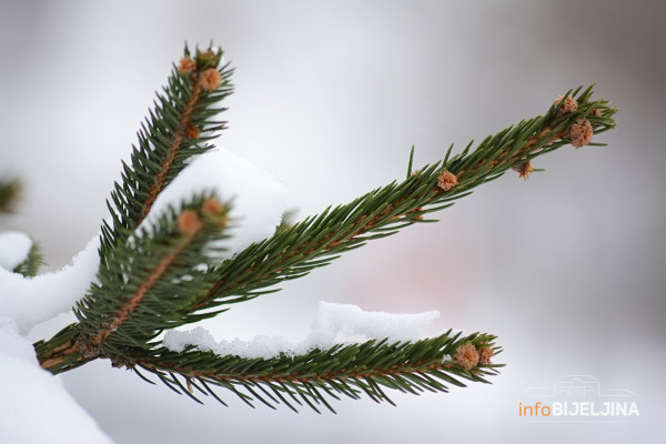 Temperatura u BiH se spustila do -15, izdano upozorenje građanima