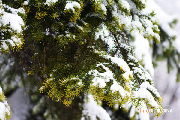 Očekuje se novi snijeg i olujni vjetrovi