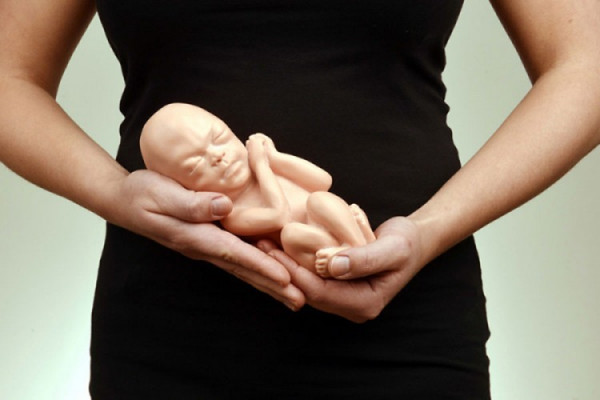 U RS 12.177 abortusa za šest godina