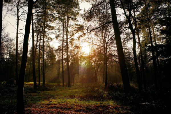 Sutra pretežno sunčano uz malu do umjerenu oblačnost