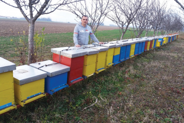 Bijeljina: Bratislav Lukić uspješan pčelarski stručnjak