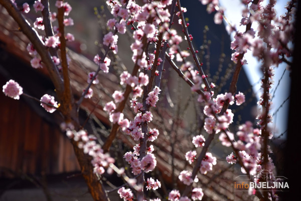 Večeras stiže proljeće