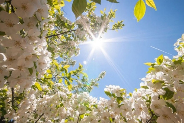 Kada stvarno počinje proljeće: Odgovor zna samo Sunce