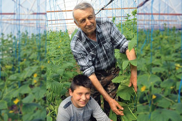 PORODICA KOJIĆ IZ CRNjELOVA: Među prvima proizveli rani krastavac