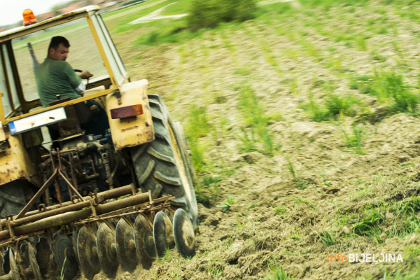 Formiranje klastera će uključiti male proizvođače u proizvodnju za sigurno tržište