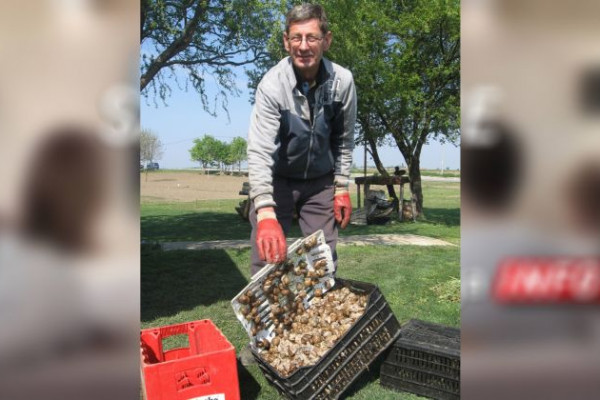 Počeo otkup puževa u Semberiji