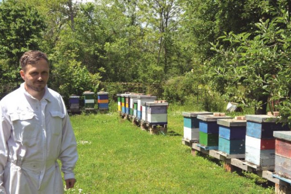 Bojan Nešković, bijeljinski pčelar: Smanjuje se snaga pčelinje zajednice
