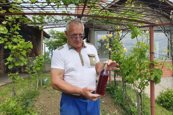 Prvi vinogradi na Majevici