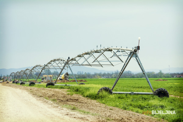 Ponavlja se sjetva, kiša “desetkovala” rod